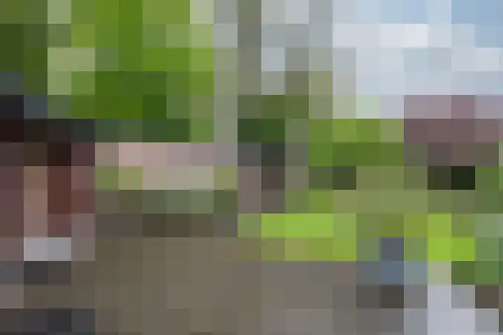 Daalhuizerweg 6 a Velp thumbnail 43