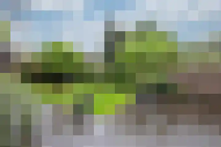 Daalhuizerweg 6 a Velp thumbnail 44