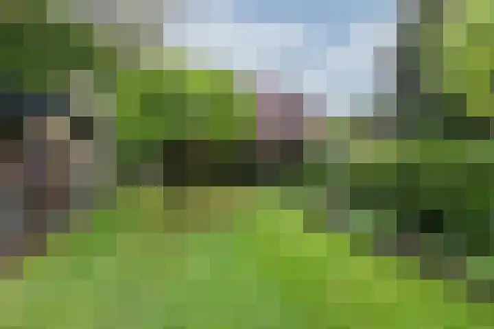 Daalhuizerweg 6 a Velp thumbnail 45