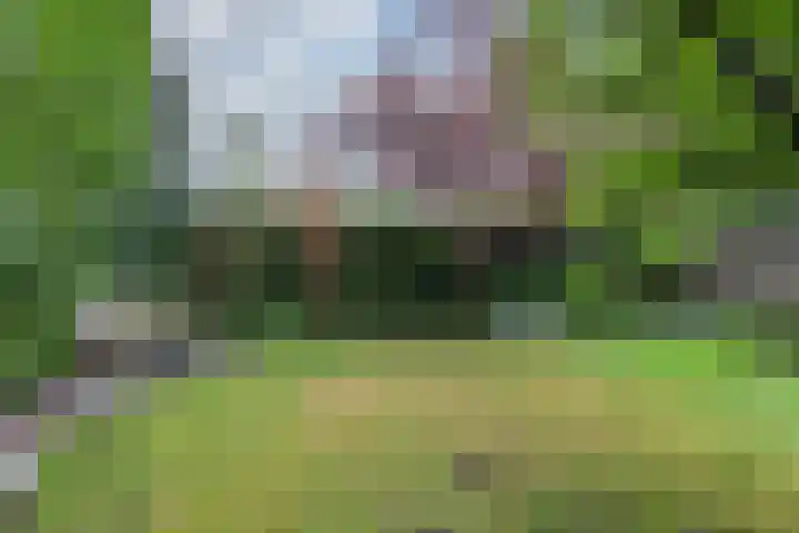 Daalhuizerweg 6 a Velp thumbnail 46