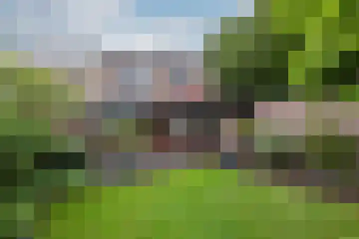 Daalhuizerweg 6 a Velp thumbnail 47