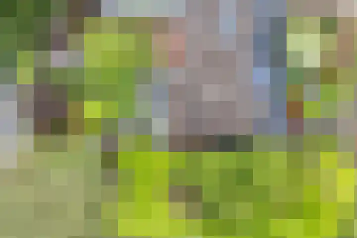Daalhuizerweg 6 a Velp thumbnail 48