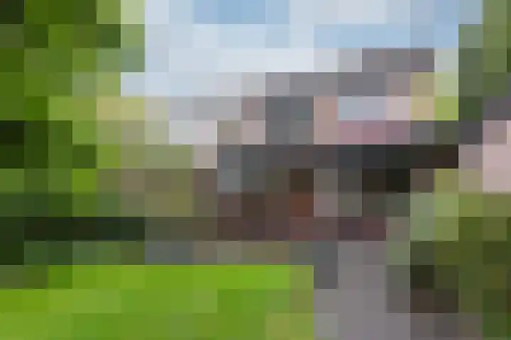 Daalhuizerweg 6 a Velp thumbnail 5