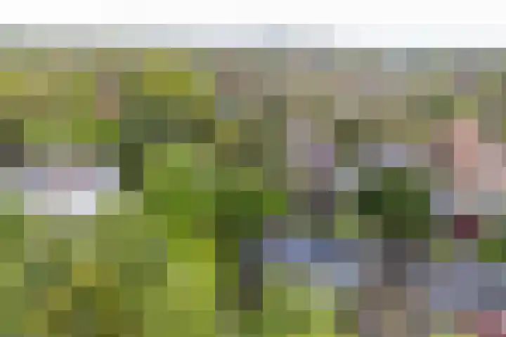 Daalhuizerweg 6 a Velp thumbnail 50
