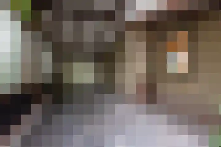 Daalhuizerweg 6 a Velp thumbnail 52