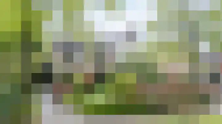 Daalhuizerweg 6 a Velp thumbnail 57