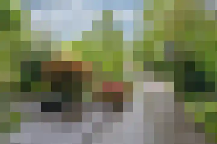 Daalhuizerweg 6 a Velp thumbnail 7