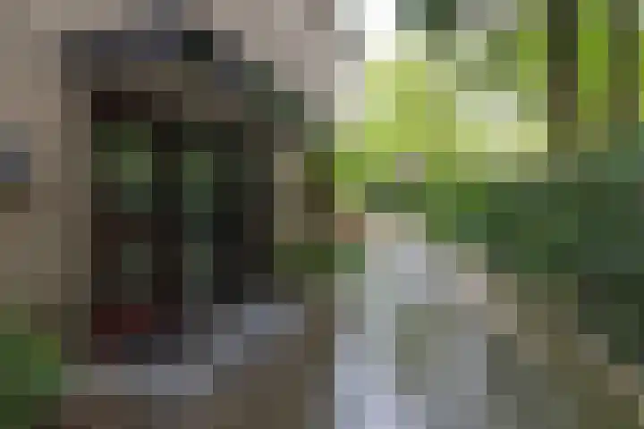 Daalhuizerweg 6 a Velp thumbnail 8