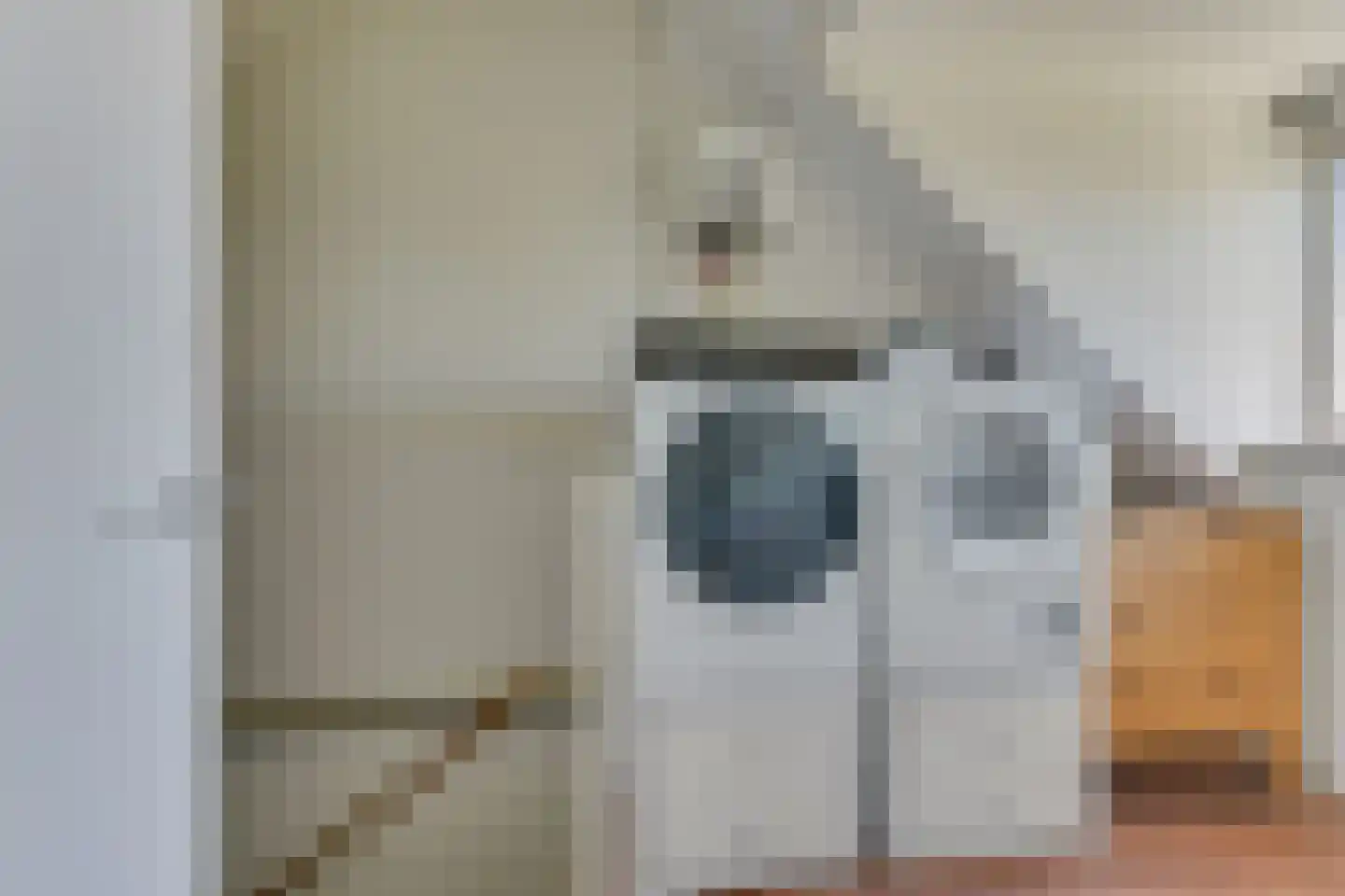 Daalmeerpad 45 Alkmaar thumbnail 34