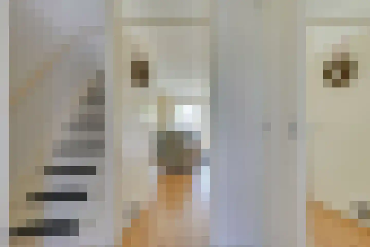Daalmeerpad 45 Alkmaar thumbnail 7