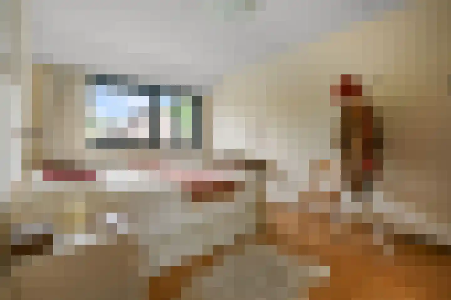 Daalmeerpad 49 Alkmaar thumbnail 20