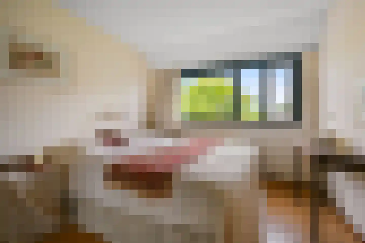 Daalmeerpad 49 Alkmaar thumbnail 21