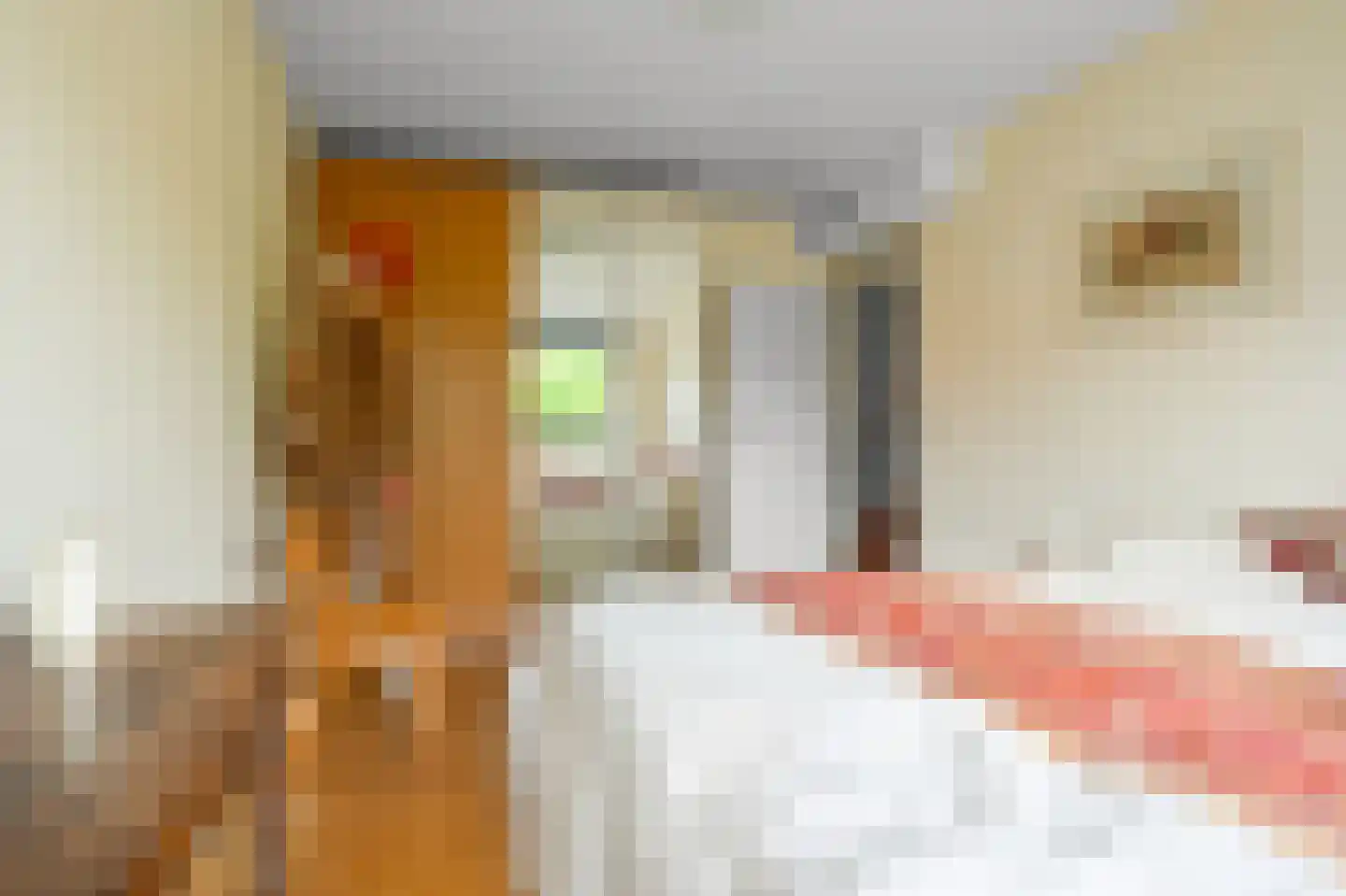Daalmeerpad 49 Alkmaar thumbnail 22