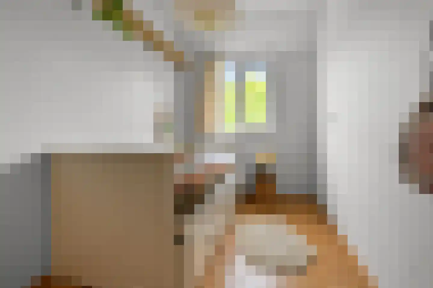 Daalmeerpad 49 Alkmaar thumbnail 25