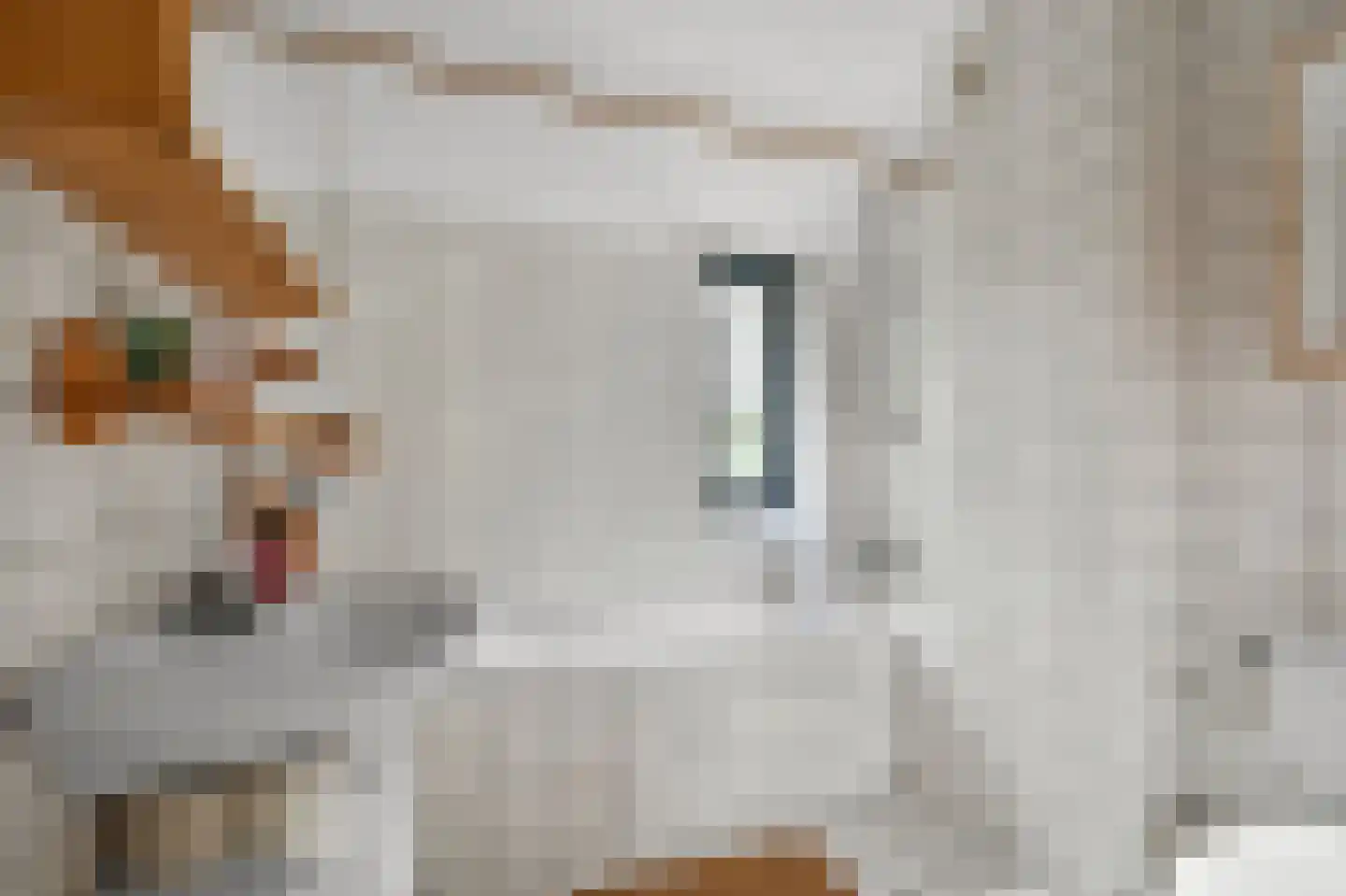 Daalmeerpad 49 Alkmaar thumbnail 27