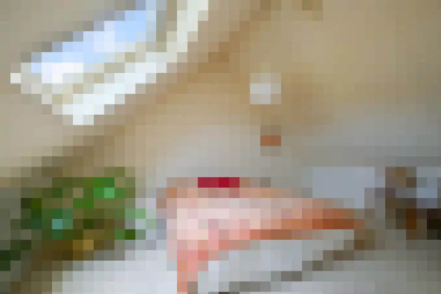 Daalmeerpad 49 Alkmaar thumbnail 31