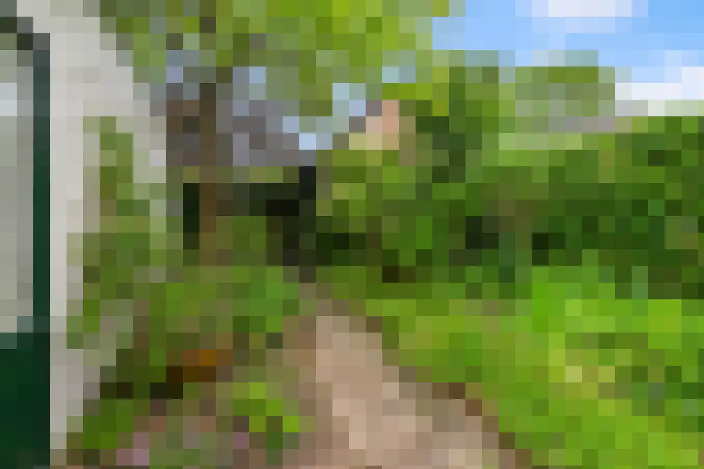 Daalmeerpad 49 Alkmaar thumbnail 35