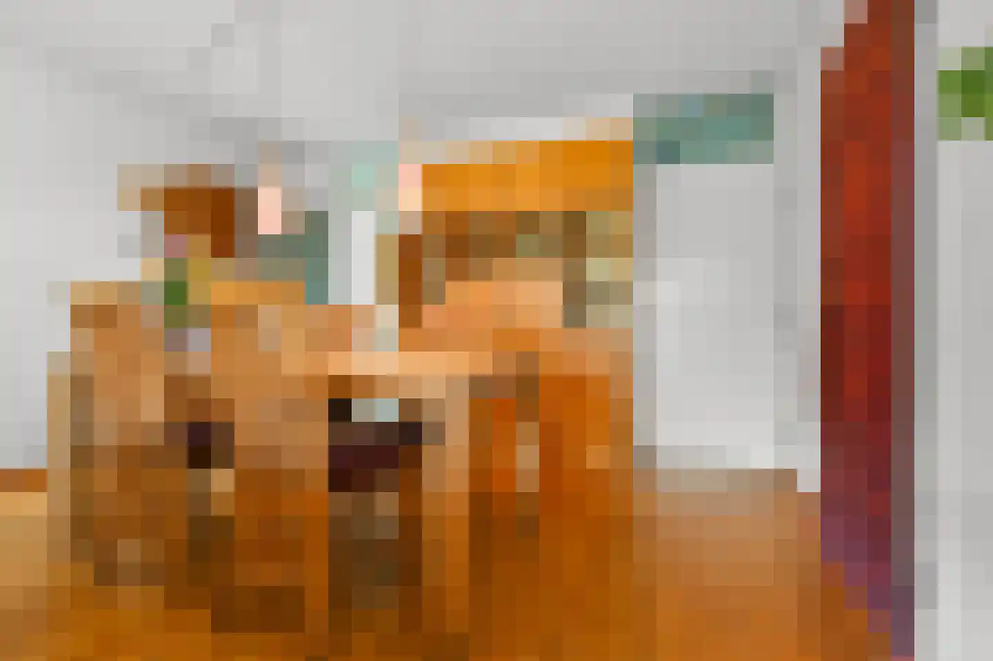 Daalmeerpad 49 Alkmaar thumbnail 6