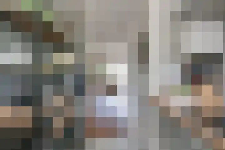 Daalmeerpad 51 Alkmaar thumbnail 10