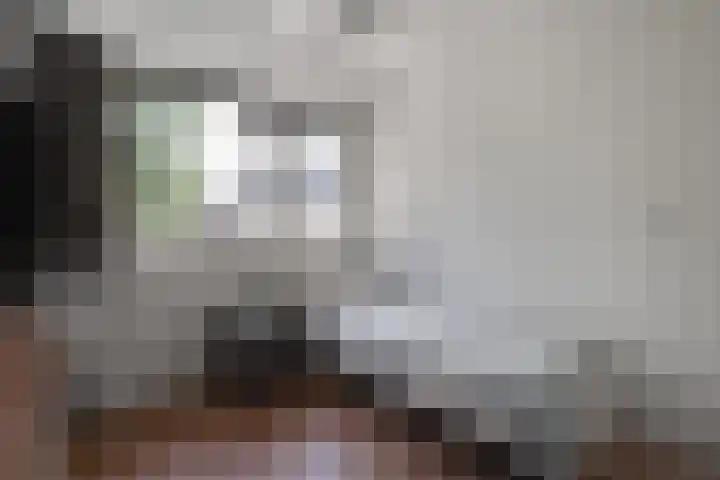 Daalmeerpad 51 Alkmaar thumbnail 18
