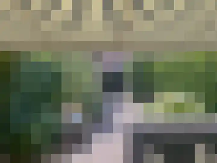 Daalmeerpad 51 Alkmaar thumbnail 29