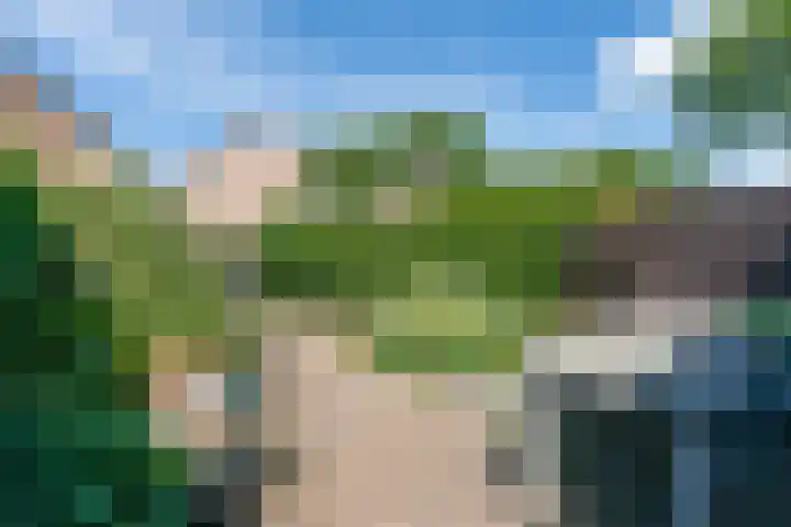 Daalmeerpad 51 Alkmaar thumbnail 30