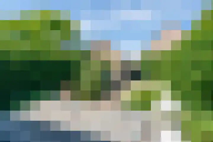 Daalmeerpad 51 Alkmaar thumbnail 31