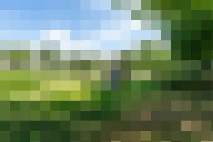 Daalmeerpad 51 Alkmaar thumbnail 34