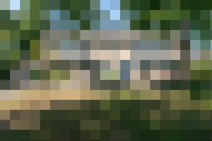 Daalmeerpad 51 Alkmaar thumbnail 35
