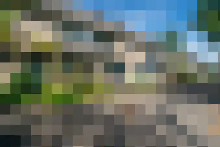 Daalmeerpad 51 Alkmaar thumbnail 36