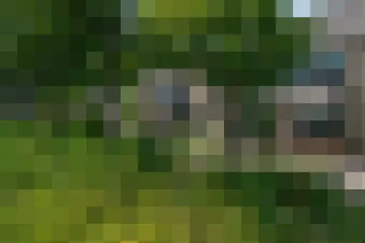 Daalmeerpad 51 Alkmaar thumbnail 37