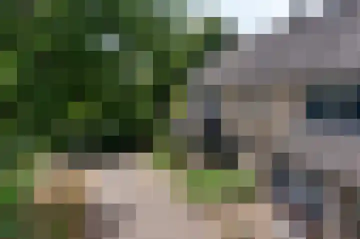 Daalmeerpad 51 Alkmaar thumbnail 38