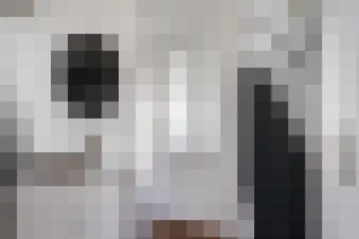 Daalmeerpad 51 Alkmaar thumbnail 4