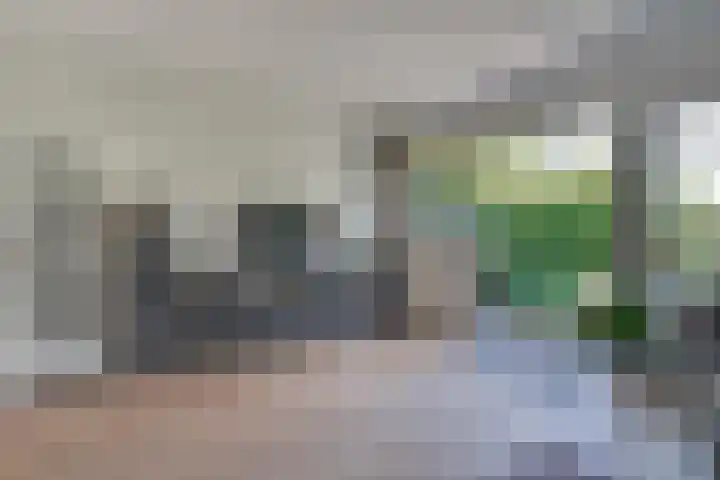 Daalmeerpad 51 Alkmaar thumbnail 6