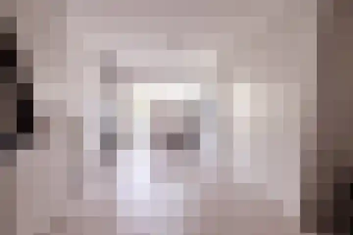Daalplein 7 Heel thumbnail 17