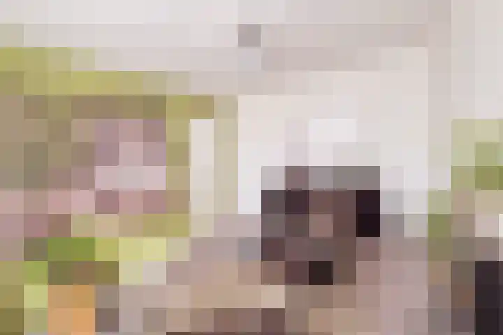 Daalplein 7 Heel thumbnail 21