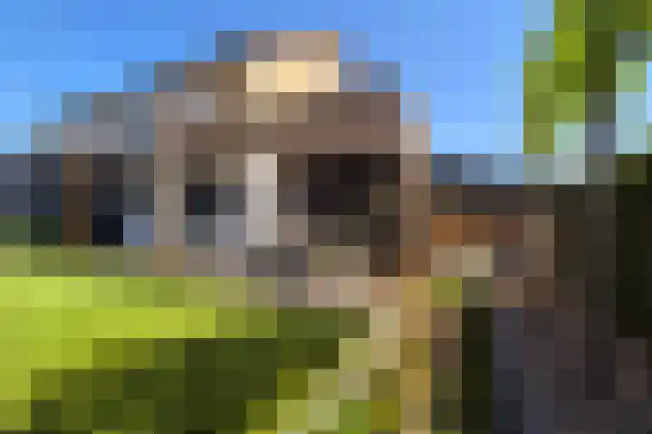 Daalplein 7 Heel thumbnail 29