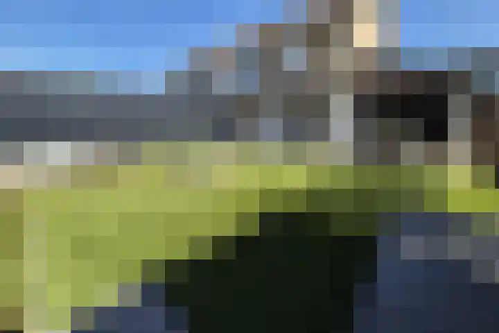 Daalplein 7 Heel foto 3