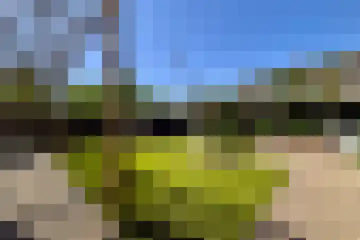 Daalplein 7 Heel thumbnail 30