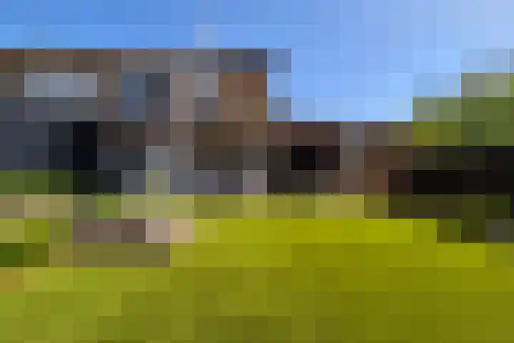Daalplein 7 Heel thumbnail 32