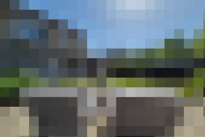 Daalplein 7 Heel thumbnail 33