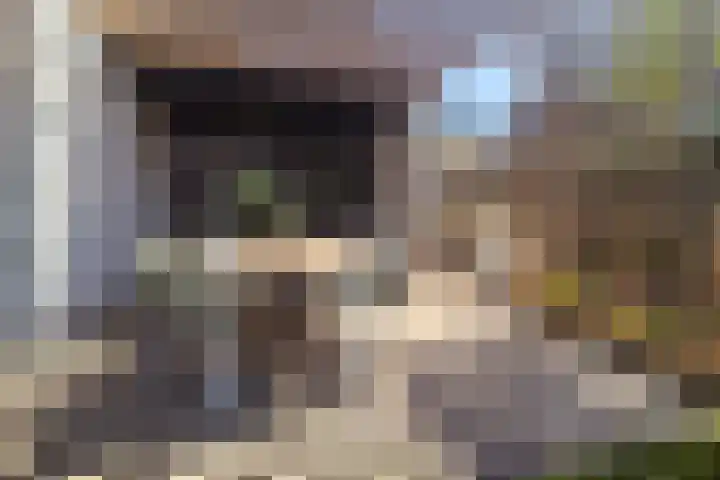 Daalplein 7 Heel thumbnail 34
