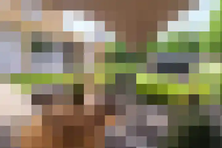 Daalplein 7 Heel thumbnail 35