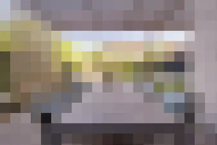 Daalplein 7 Heel thumbnail 36