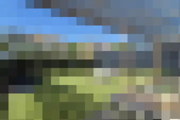 Daalplein 7 Heel thumbnail 38