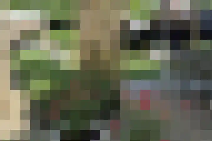 Daalplein 7 Heel thumbnail 39