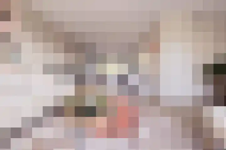 Daalplein 7 Heel thumbnail 4