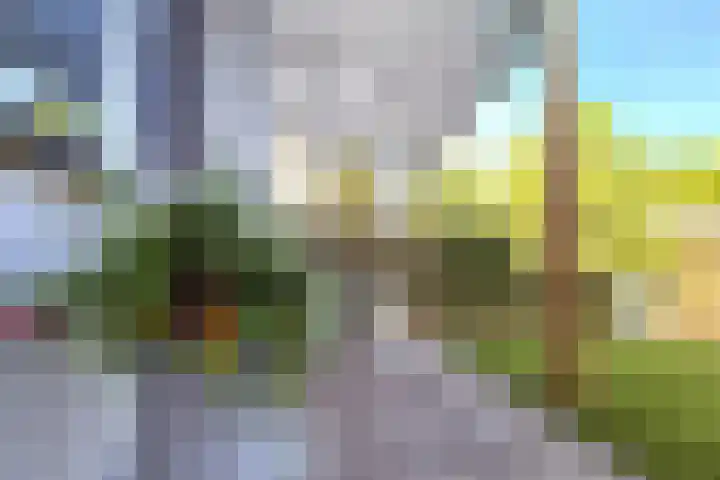 Daalplein 7 Heel thumbnail 40