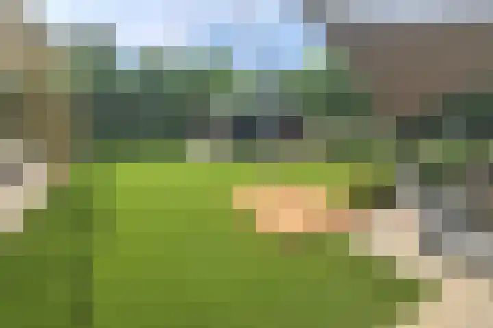Daalplein 7 Heel thumbnail 41