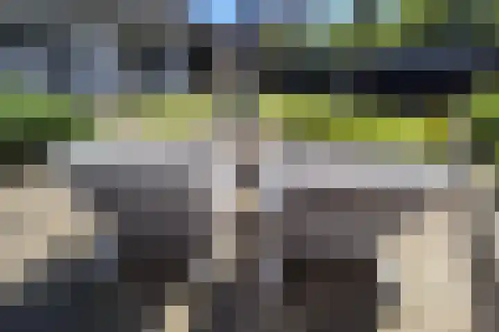Daalplein 7 Heel thumbnail 42